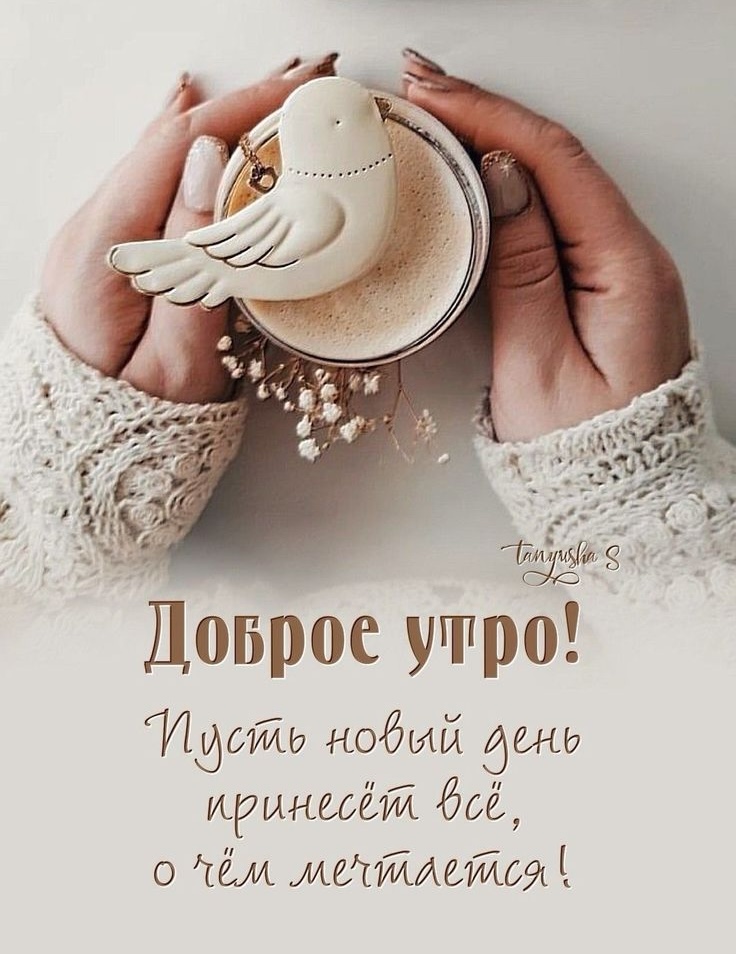 цитаты про утро