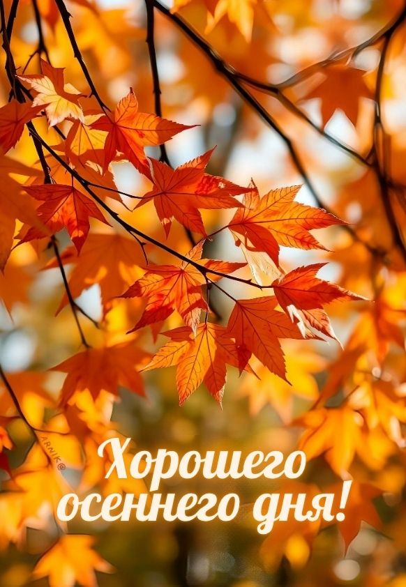 картинки хорошего осеннего дня