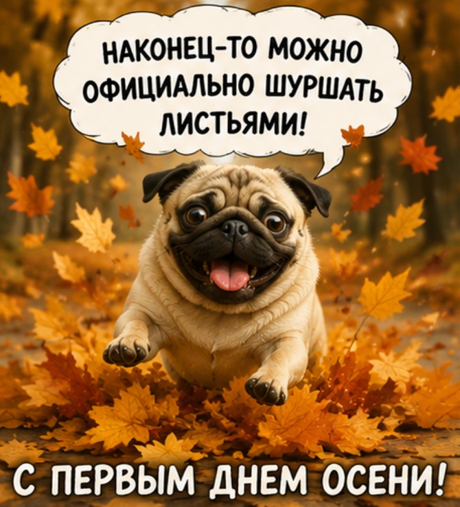 смешные картинки с первым днем осени