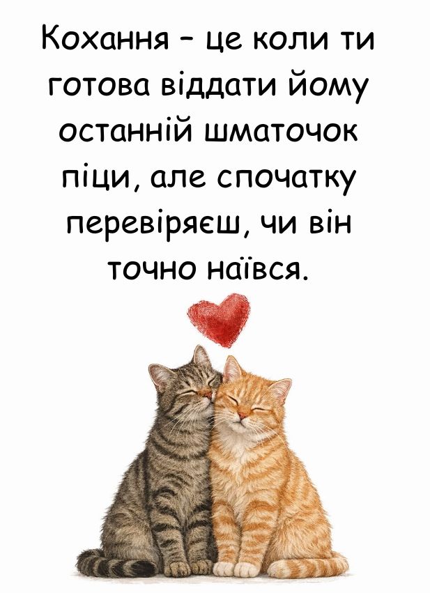 смішні цитати про кохання