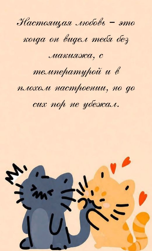 цитаты про любовь с юмором
