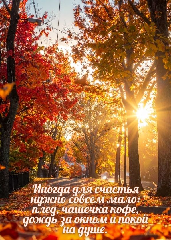 красивые цитаты про осень